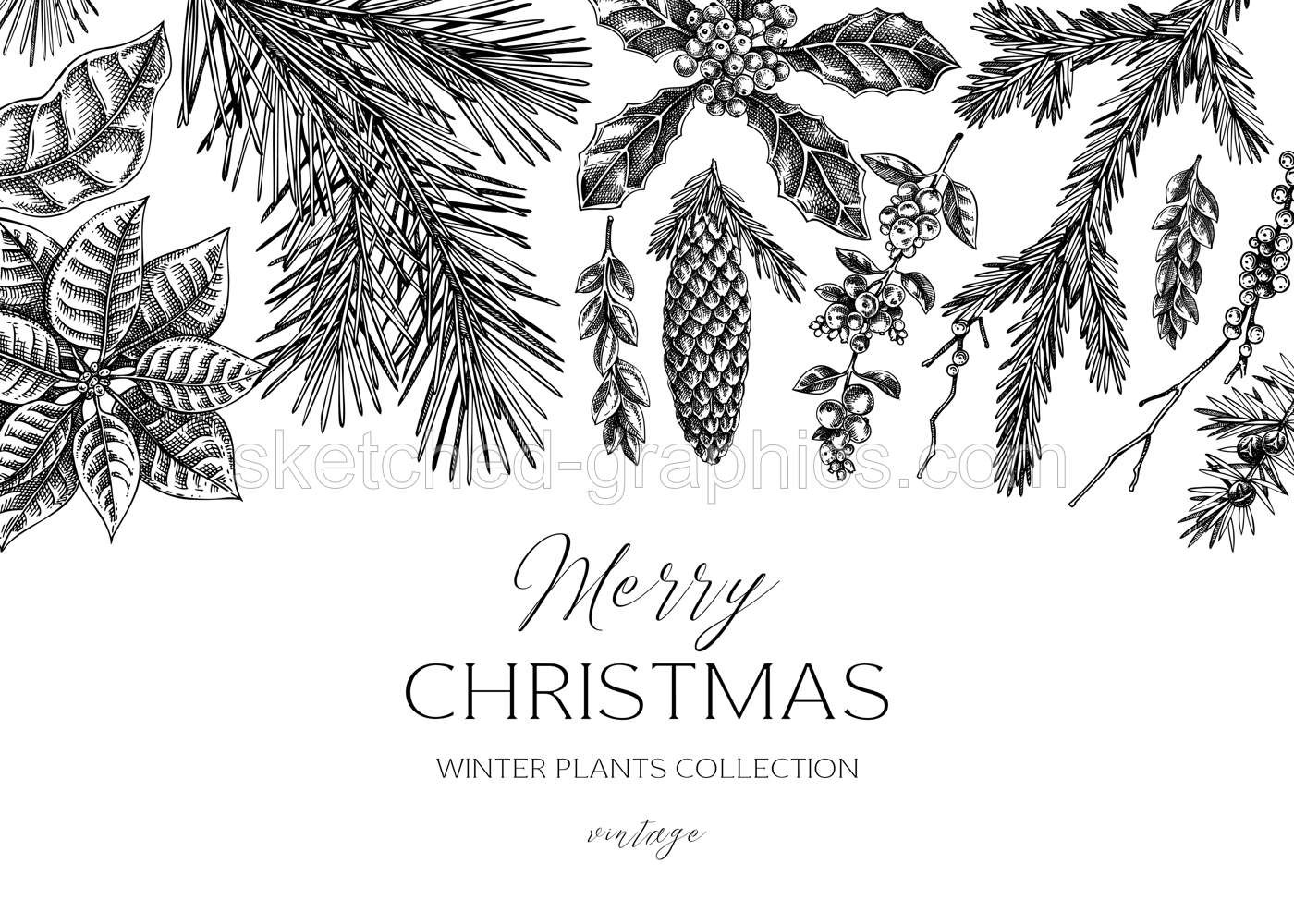 Christmas background design. Winter plants vintage banner. Conifer trees, winter flowers, birds sketches. Hand drawn vector illustration. NOT AI generated Illustration